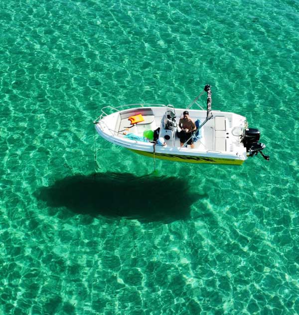 boat rental barracuda